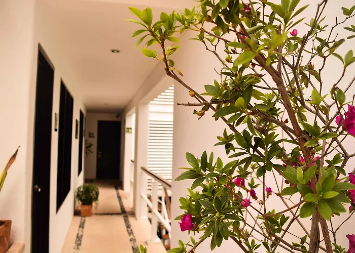 Casa Ticul Hotel Boutique - 5Th Ave (Adults Only) Playa del Carmen